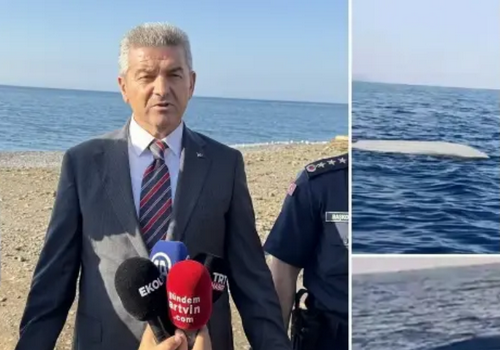 До турецького берега прибило морський дрон
